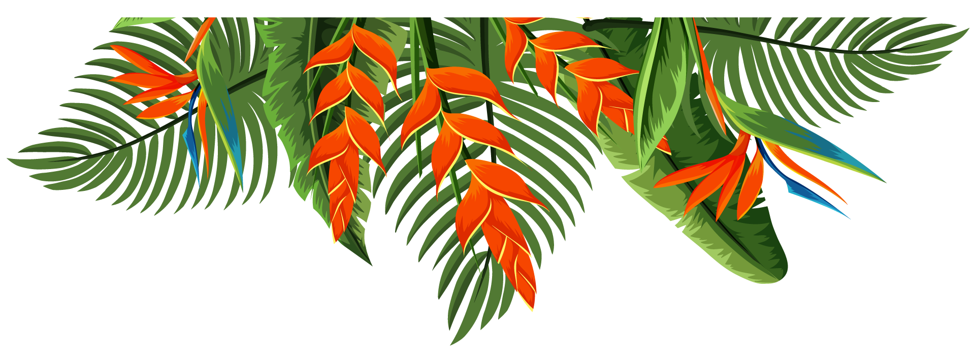 separateur-bas-fleur-tropicale