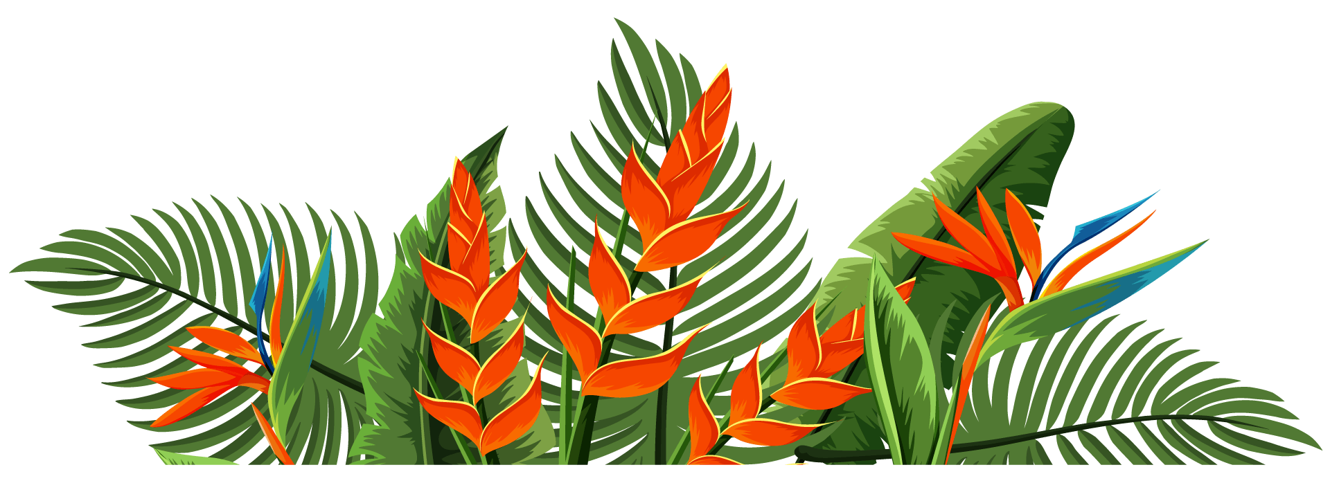 separateur-fleur-tropicale